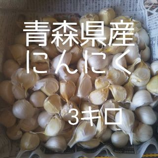 青森県産にんにく３キロ(野菜)