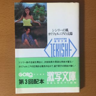 ショウガクカン(小学館)の激写文庫14 沢田和美 森下愛子(アート/エンタメ)