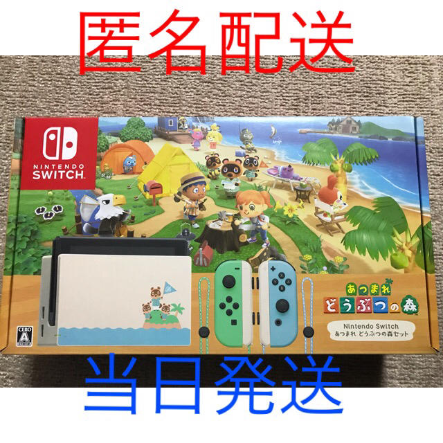 Nintendo Switch(ニンテンドースイッチ)のNintendo Switch あつまれ どうぶつの森セット 匿名配送 エンタメ/ホビーのゲームソフト/ゲーム機本体(家庭用ゲーム機本体)の商品写真