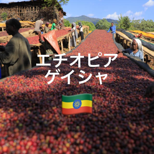 エチオピア ゲイシャ  200g 食品/飲料/酒の飲料(コーヒー)の商品写真