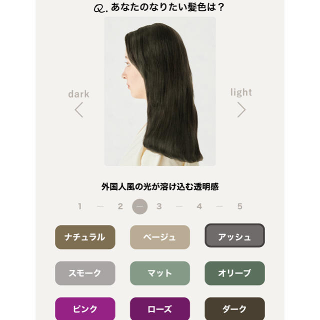 【2箱セット】カラリス　ヘアカラー　アッシュ2.5 コスメ/美容のヘアケア/スタイリング(カラーリング剤)の商品写真