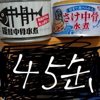 さけ 鮭 銀鮭 中骨 水煮 サケ 45缶 キョクヨー 宝幸 HOKO 缶詰(缶詰/瓶詰)