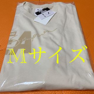 プーマ(PUMA)のwind and sea puma Mサイズ(Tシャツ/カットソー(半袖/袖なし))