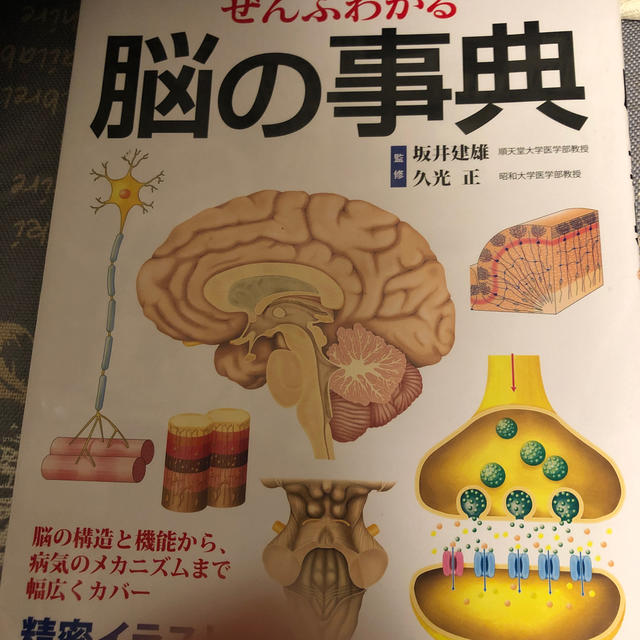 ぜんぶわかる脳の事典 部位別・機能的にわかりやすくビジュアル解説 エンタメ/ホビーの本(健康/医学)の商品写真