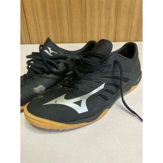 ミズノ(MIZUNO)のMIZUNO バサラ101 ミズノ フットサルシューズ サッカー(シューズ)