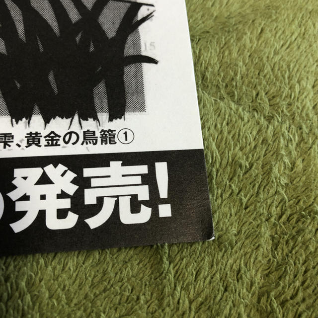 小学館(ショウガクカン)の未使用　篠原千絵　夢の雫、黄金の鳥籠　複製原稿 エンタメ/ホビーのエンタメ その他(その他)の商品写真