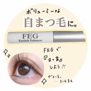 《新品》FEG まつげ美容液 正規品 約3ヶ月分 効果絶大(まつ毛美容液)