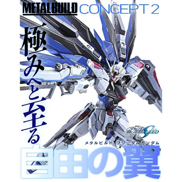 METAL BUILD フリーダムガンダム CONCEPT 2ガンダムSEED