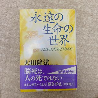 永遠の生命の世界 人は死んだらどうなるか(人文/社会)