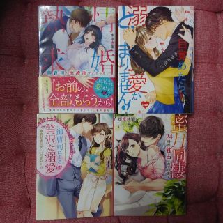 ※ご検討中です  『熱情求婚 』ほか全４冊(文学/小説)