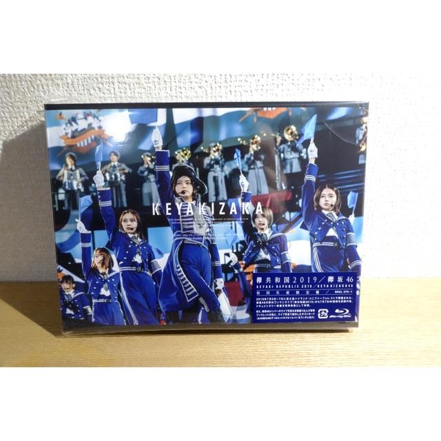 エンタメ/ホビー欅共和国2019 (初回生産限定盤) Blu-ray