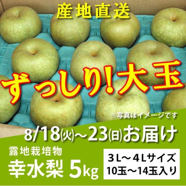 【購入OK】幸水梨５kg★大玉【8/18～23お届け分】 食品/飲料/酒の食品(フルーツ)の商品写真