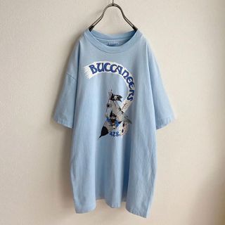 エディットフォールル(EDIT.FOR LULU)のUSA製 ヴィンテージ  古着 80's ヘインズ ビーフィー Tシャツ(Tシャツ/カットソー(半袖/袖なし))