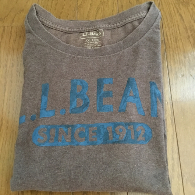 L.L.Bean(エルエルビーン)のL.L.Bean XXL-REGサイズ　Tシャツ　茶色　大きいサイズ メンズのトップス(シャツ)の商品写真