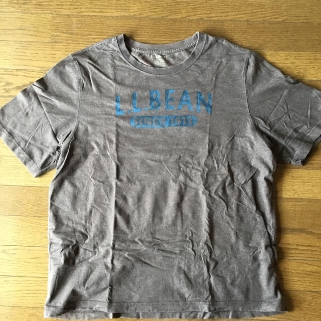 L.L.Bean(エルエルビーン)のL.L.Bean XXL-REGサイズ　Tシャツ　茶色　大きいサイズ メンズのトップス(シャツ)の商品写真