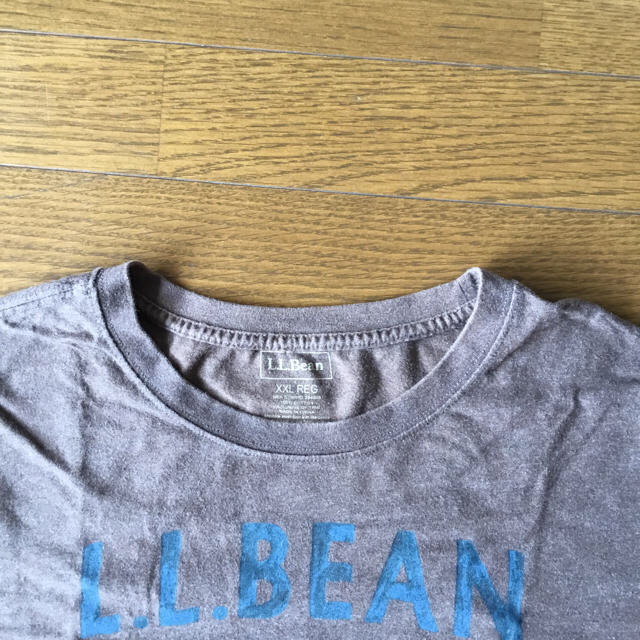 L.L.Bean(エルエルビーン)のL.L.Bean XXL-REGサイズ　Tシャツ　茶色　大きいサイズ メンズのトップス(シャツ)の商品写真