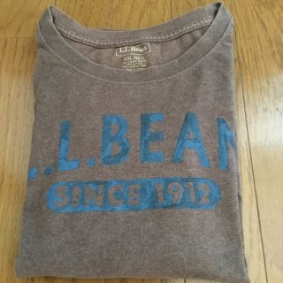 エルエルビーン(L.L.Bean)のL.L.Bean XXL-REGサイズ　Tシャツ　茶色　大きいサイズ(シャツ)