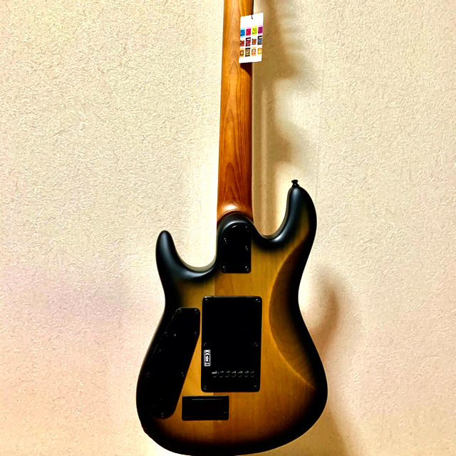 ESP(イーエスピー)のSterling by MUSIC MAN RICHARDSON7 楽器のギター(エレキギター)の商品写真