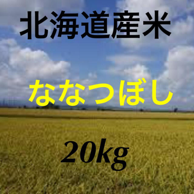 ななつぼし　北海道産　白米 食品/飲料/酒の食品(米/穀物)の商品写真