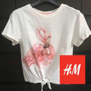 エイチアンドエム(H&M)のH & M ♡ トップス(カットソー(半袖/袖なし))