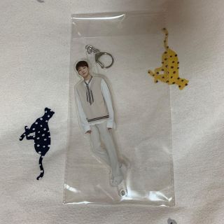 セブンティーン(SEVENTEEN)のOde to you ウォヌ アクリルスティック(アイドルグッズ)