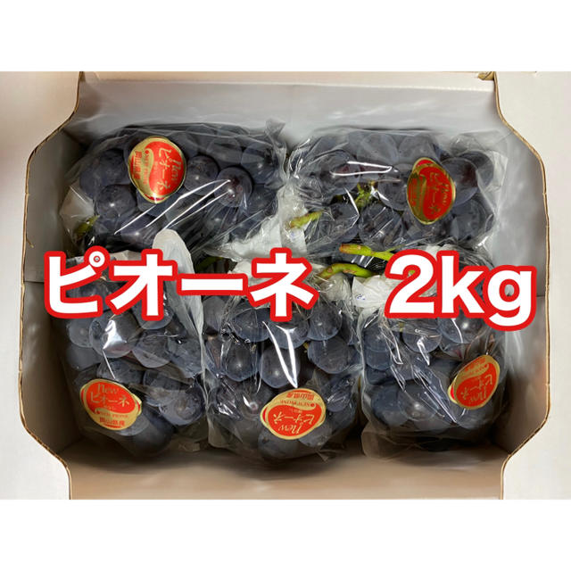 朝採れ！岡山県産ピオーネ2kg(4〜5房)