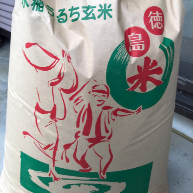 米/穀物徳島県産　こしひかり　玄米25キロ
