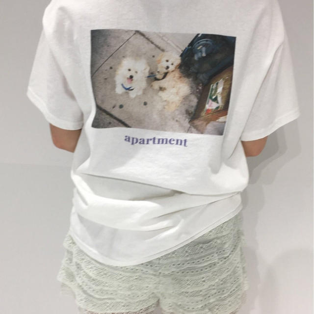 EDIT.FOR LULU(エディットフォールル)のワンコT 本日のみ レディースのトップス(Tシャツ(半袖/袖なし))の商品写真