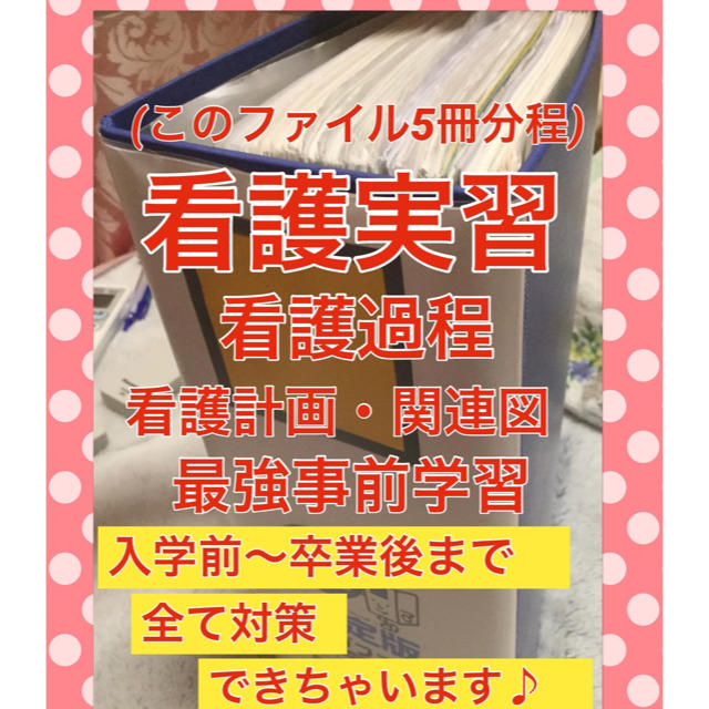 おまけ付き★看護過程アセスメント　看護実習　精神看護過程　母性看護過程