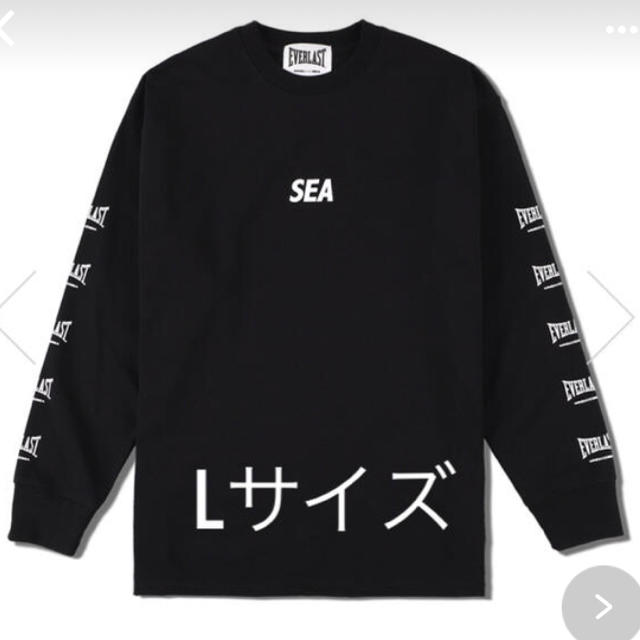 Supreme(シュプリーム)のエバーラスト×ウィンダンシー　ウィンダンシーiPhone8 メンズのトップス(Tシャツ/カットソー(半袖/袖なし))の商品写真