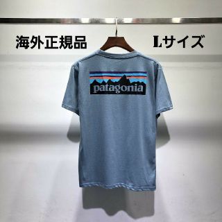 パタゴニア(patagonia)のゆーぽち様専用　patagonia　半袖　ブルー　Lサイズ(Tシャツ/カットソー(半袖/袖なし))