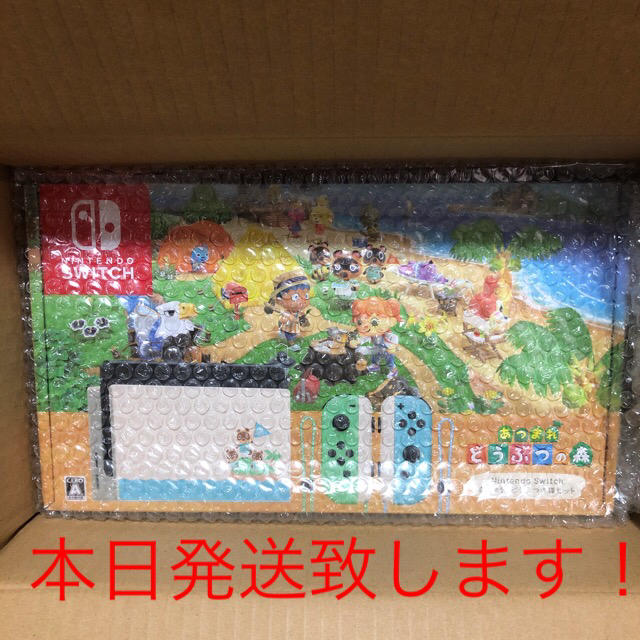 switch  どうぶつの森セット