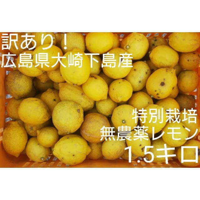 チロル様専用 広島県大崎下島産 特別栽培無農薬レモン 1.5キロ 食品/飲料/酒の食品(フルーツ)の商品写真