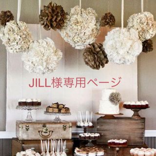 JILL様専用(その他)