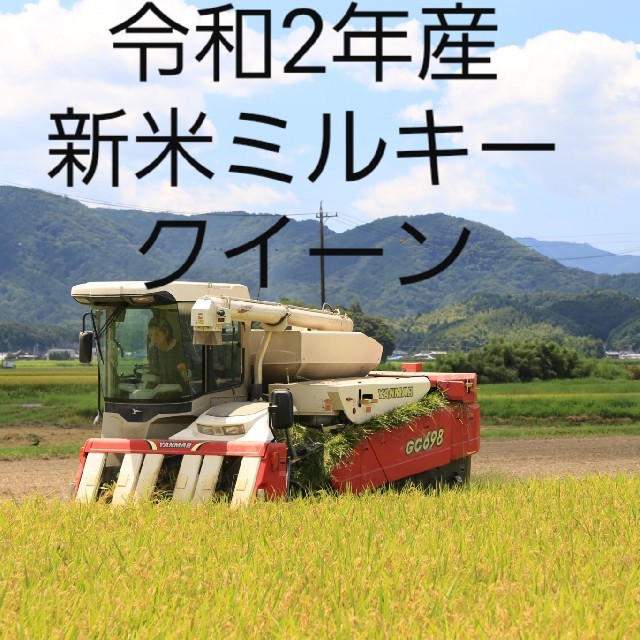 新米ミルキークイーン精米21キロ、送料無料。
