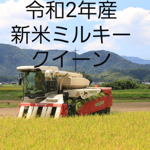 米/穀物新米ミルキークイーン精米21キロ、送料無料。