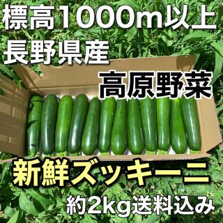 長野県産ズッキーニ(高原野菜)(野菜)