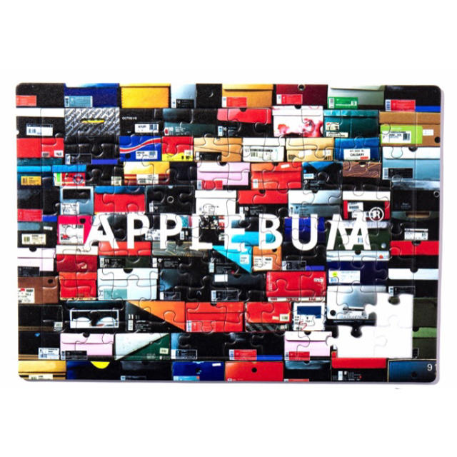 APPLEBUM アップルバム パズル インテリア キックス ボックス