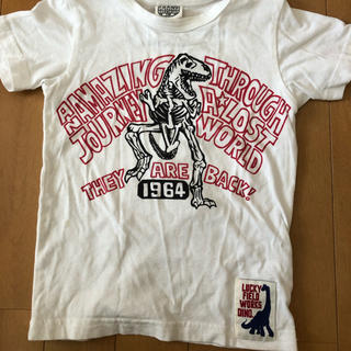 エフオーキッズ(F.O.KIDS)の恐竜柄　Tシャツ　100(Tシャツ/カットソー)
