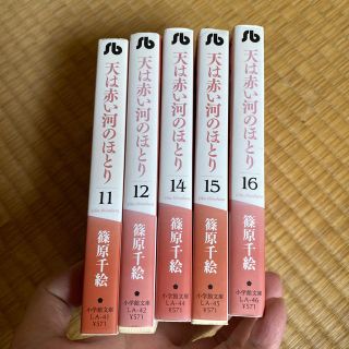 天は赤い河のほとり 第１１、12、14、15、16 計5冊(その他)