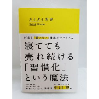 カイタイ新書 中川悠 博報堂(ビジネス/経済)