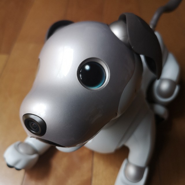 SONY(ソニー) aibo ERS-1000 ほてり 本体 充電スタンド付属 SONY(ソニー) aibo ERS-1000 ほてり 本体 充電スタンド付属