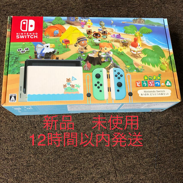 ニンテンドースイッチ　どうぶつの森セット