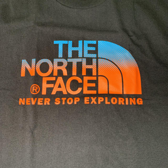 THE NORTH FACE(ザノースフェイス)の新品 ザ  ノースフェイス メンズTシャツL ブラック メンズのトップス(Tシャツ/カットソー(半袖/袖なし))の商品写真