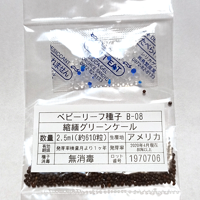 ベビーリーフ種子 B-08 縮緬グリーンケール 2.5ml 約610粒 x 2袋 食品/飲料/酒の食品(野菜)の商品写真