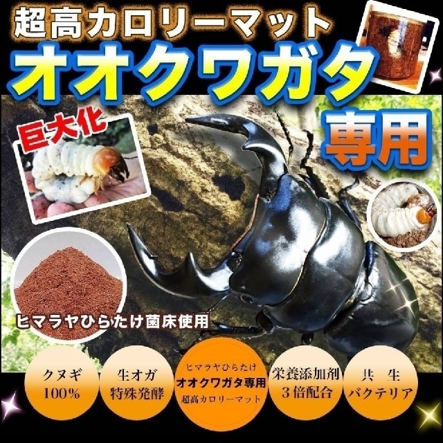 オオクワガタ専用☆超高カロリーマット【6袋】生オガを特殊発酵！共生
