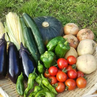 あひるちゃん様 専用 北海道産 おまかせ 無農薬 野菜 セット(野菜)