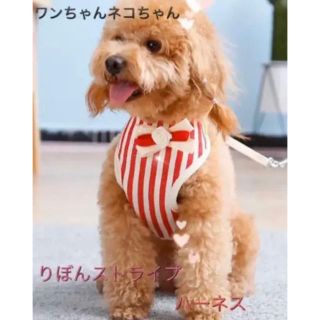 ワンチャンハーネスセット(犬)