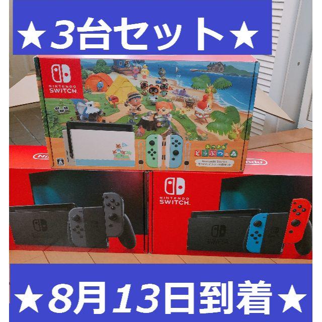 任天堂(ニンテンドウ)の3台 ニンテンドースイッチ 本体 ネオン グレー あつまれどうぶつの森セット エンタメ/ホビーのゲームソフト/ゲーム機本体(家庭用ゲーム機本体)の商品写真