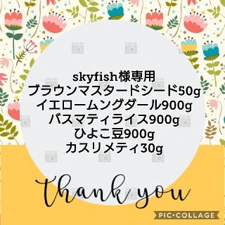 skyfish様専用(その他)